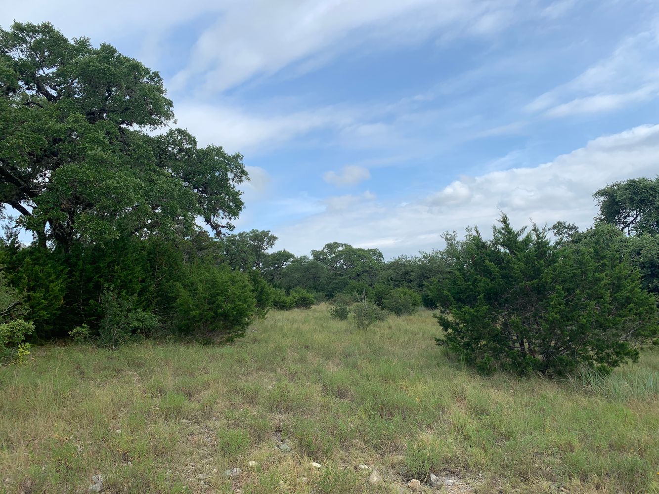 part of edmond ranch: 000 FM 32, Blanco, TX 78606